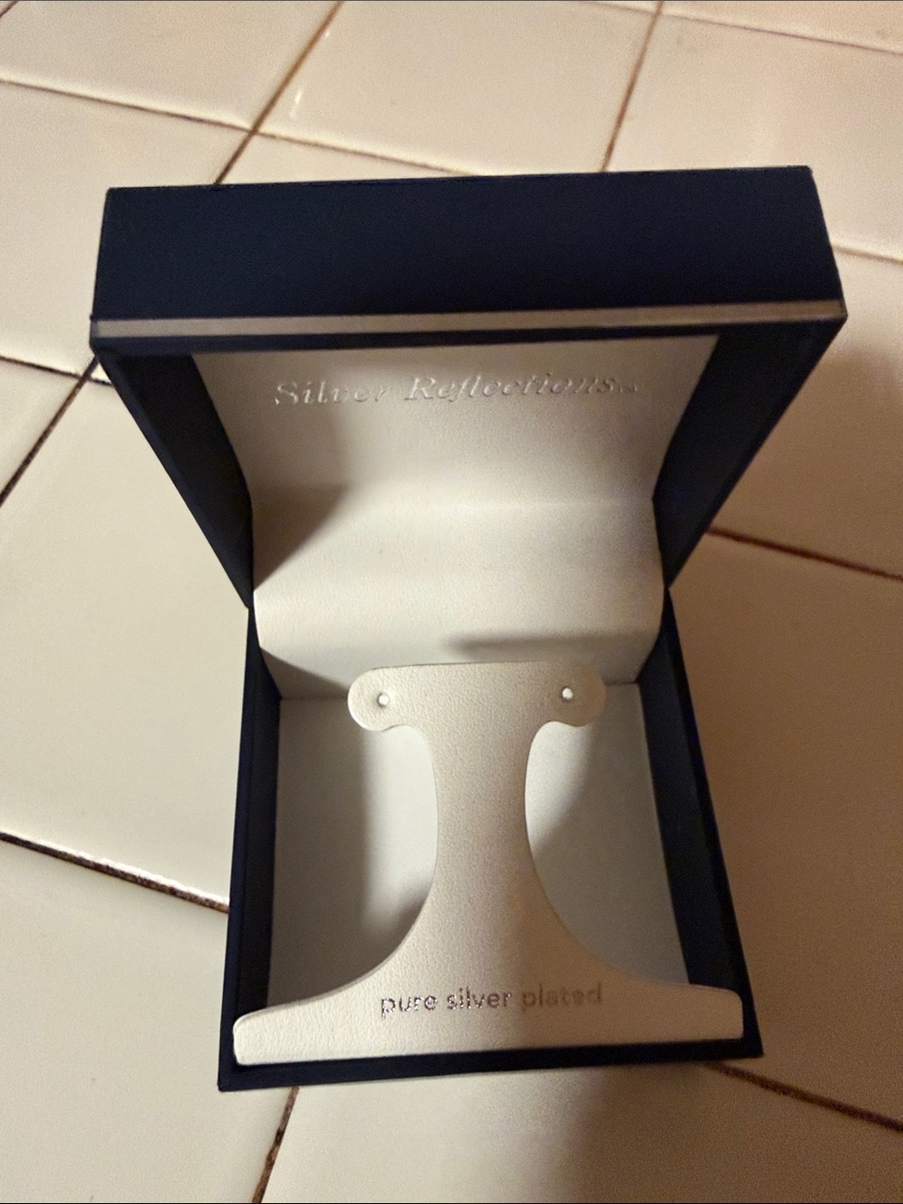 🔥10/$15 Silver Reflections Earrings Box